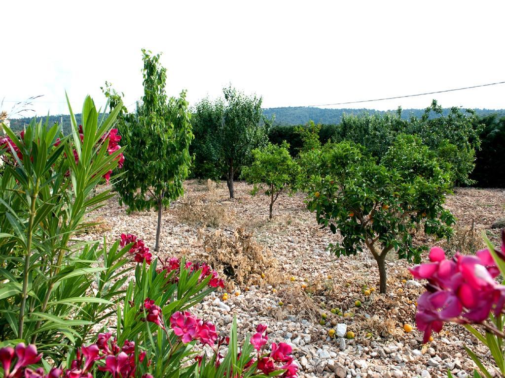B&B La Formichina Peschici Exteriér fotografie