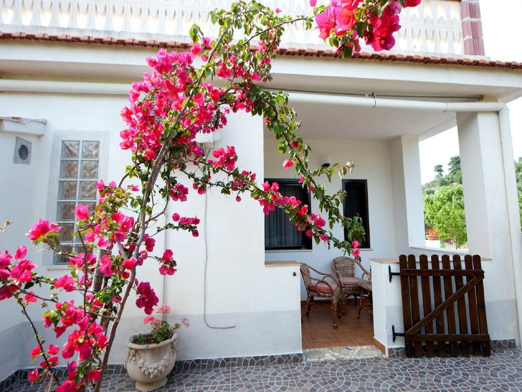 B&B La Formichina Peschici Exteriér fotografie