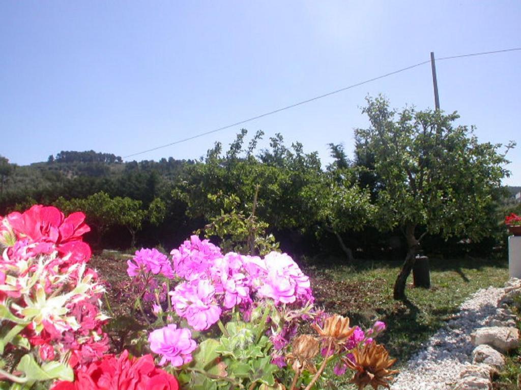 B&B La Formichina Peschici Exteriér fotografie